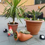 Estela *