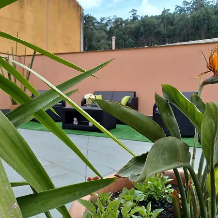 Apartamento Estela *