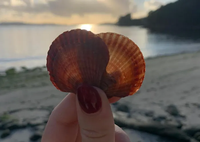 Διαμέρισμα Estela